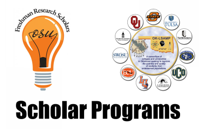 Scholar Programs Banner 2