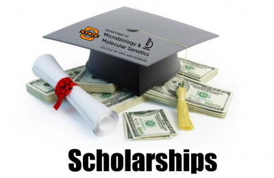 Scholarship Banner 1